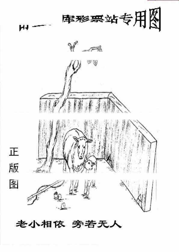 24004期: 老村长福彩3D天天图谜