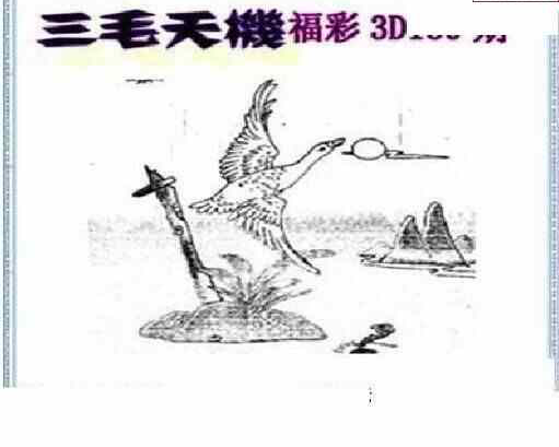 23139期: 三毛3D精品图谜