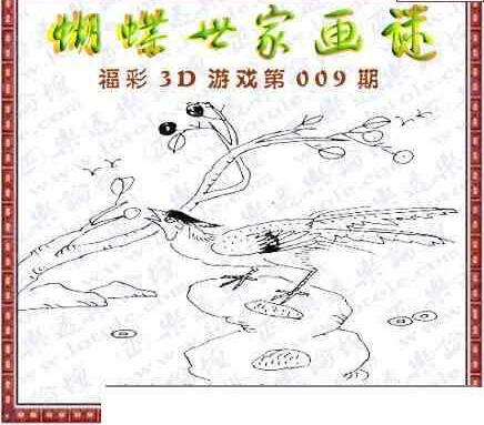 24009期: 3D蝴蝶世家蝴蝶彩图