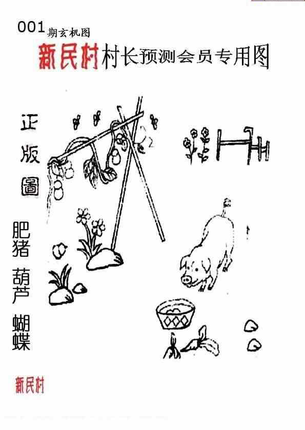 24001期: 老村长福彩3D天天图谜