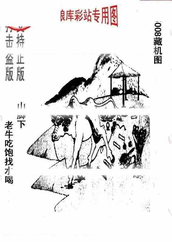 24008期: 老村长福彩3D天天图谜