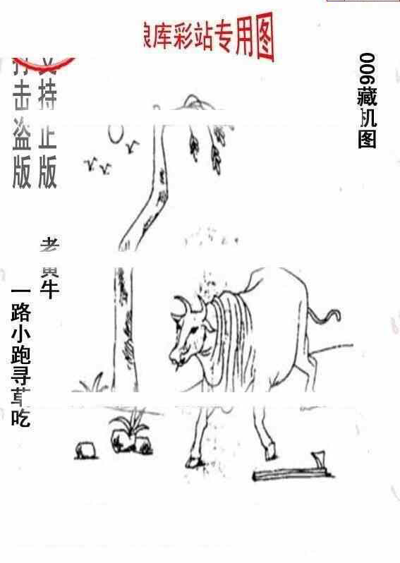 24006期: 老村长福彩3D天天图谜